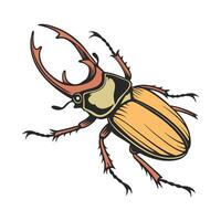 Dramatic Capture of Stenocara Gracilipes on White vector