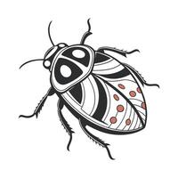 Stenocara Gracilipes Featured on Bright White Surface vector