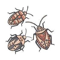 Stink Bugs on Bright White Background vector