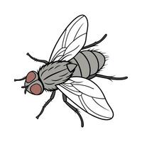 Dramatic Capture of Stomoxys Calcitrans on White vector