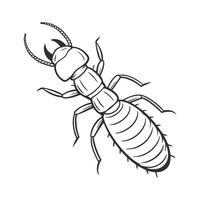 Termite Illustration Isolated on White Background vector