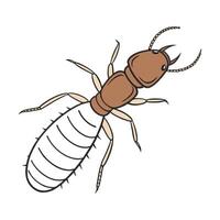 Isolated Termite Illustration on a White Background vector
