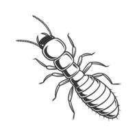 Dramatic View of Termite on Bright White Background vector