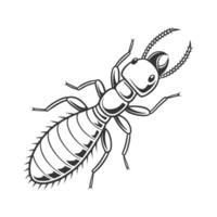 Termite Design on Bright White Background vector