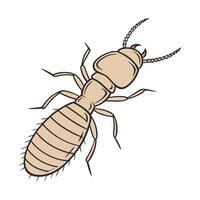 Artwork of Termite Isolated on White Surface vector