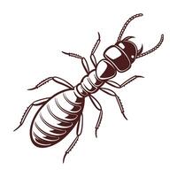 Dramatic View of Termite on Clean White Background vector