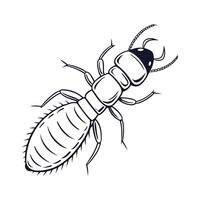 Termite Illustration on Clean White Background vector
