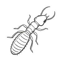 Realistic Termite on Bright White Background vector