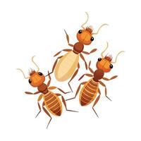 Display of Termites on Clean White Surface vector