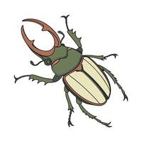 Theopropus Elegans on Bright White Surface vector