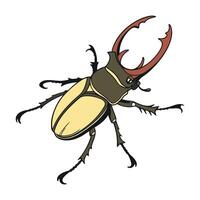 Display of Theopropus Elegans on Clean White Background vector