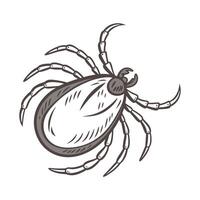 Tick Featured on Bright White Surface vector