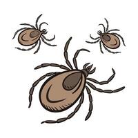 Display of Ticks on Clean White Surface vector
