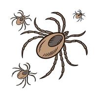 Ticks Featured on Bright White Surface vector