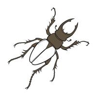 Dramatic Capture of Trichopoda Pennipes on White vector
