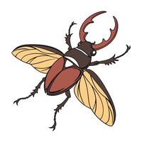 Trichopoda Pennipes Featured on Bright White Surface vector