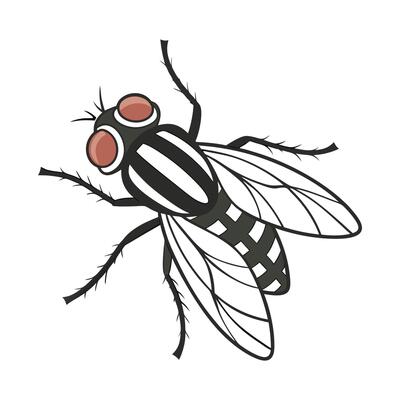 Dramatic Capture of Tsetse Fly on White