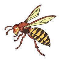 Dramatic Capture of Vespa Mandarinia on White vector