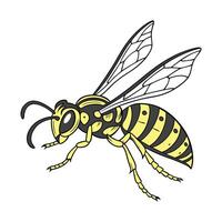 Detailed Wasp Illustration on Bright Background vector