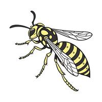 Wasp Featured on Bright White Surface vector