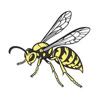 Display of Wasp on Clean White Background vector