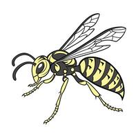 Wasp Design Isolated on White Background vector