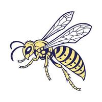 Illustration of Wasp on Bright White Surface vector