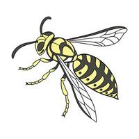 Dramatic View of Wasp on White vector