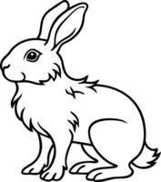 Detailed Line Art of a Realistic Rabbit Ideal for Tattoo Design and Coloring Pages vector