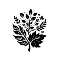 Elegant Black and White Leafy Botanical Composition A Detailed Illustration Featuring Various Leaf Shapes and a Central Branch Motif. vector
