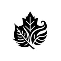 Stylized Black and White Botanical Illustration Composite of Three Leaf Forms Against a Pure White Background, Emphasizing Contrast and . vector