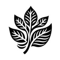 Stylized Black Leaf Cluster on White, Geometric Botanical , Art, Monochromatic Organic Form vector