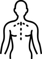 Human Body Outline with Anatomical Markings Ideal for Educational and Creative Use vector