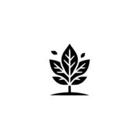 A minimalist black and white of a stylized plant, featuring intricately detailed leaves radiating outward from a central stem, creating a balanced and modern on a white backdrop. vector