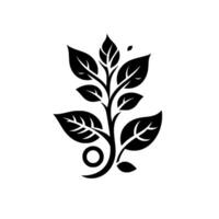 Minimalist Black and White Botanical Illustration A stylized plant featuring leaves and a delicate circle element against a clean white backdrop. vector