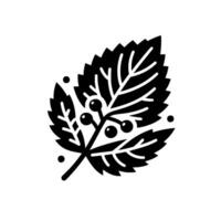 Minimalist Black and White Illustration of a Leaf with Berries, Isolated on White, Featuring Clean Lines. vector