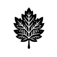 black and white stylized maple leaf with intricate vein details, set against a plain white background. vector