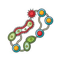 Streptococcus Bacteria in Chain Formation vector