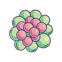 Characteristics of Staphylococcus Bacteria in Cluster Formation vector