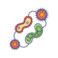 Characteristics of Streptococcus Bacteria in Chains vector