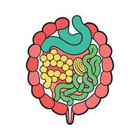 Bacteria Colonizing the Human Intestine Illustrated vector