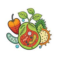Bacteria Growing on Rotten Fruits and Vegetables vector