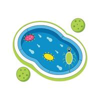 Bacteria Found in Contaminated Public Swimming Pools vector