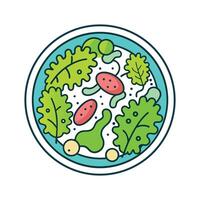 Bacteria Found in Contaminated Salad Greens vector