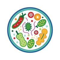 Bacteria in Expired Frozen Vegetables Illustrated vector