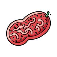 Bacterial Contamination in Fermented Meat Products vector