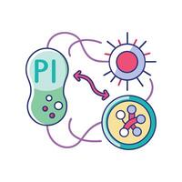Understanding Bacterial Conjugation via Pili Exchange vector