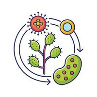 Bacterial Spore Germination Process Observed vector