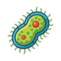 Understanding the Double Cell Membrane in Bacteria vector