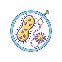 Bacteria Utilizing Plasmid DNA for Genetic Transfer vector
